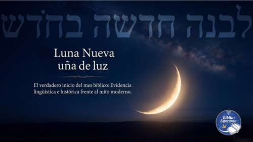 Luna Nueva - Uña de Luz