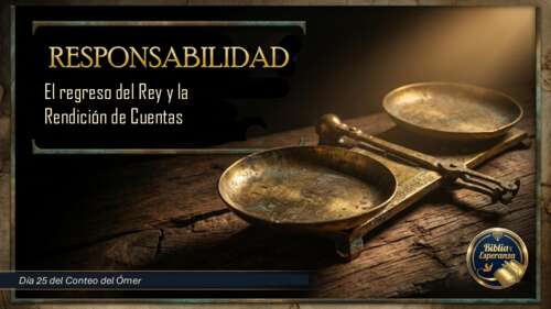 Responsabilidad - El regreso del Rey y la Rendición de Cuentas