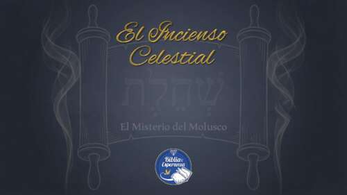 El Incienso Celestial - 2do Ingrediente - Shejelet