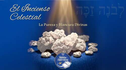 El Incienso Celestial - 4to Ingrediente - Lebonah Zakkah