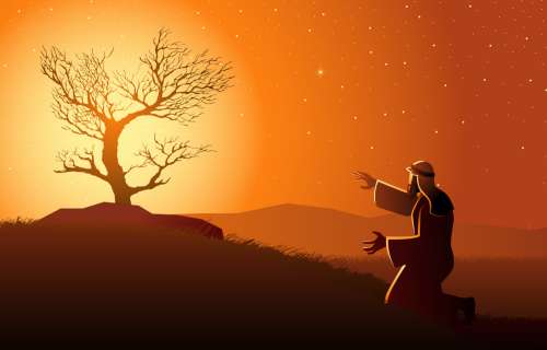 Parashá 13 - Shemot